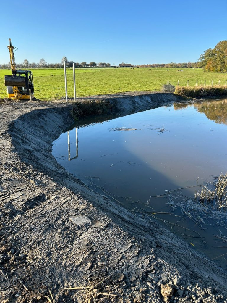 Etang de Bonfol